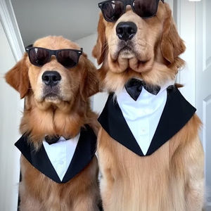 Meet your Posher, Amari